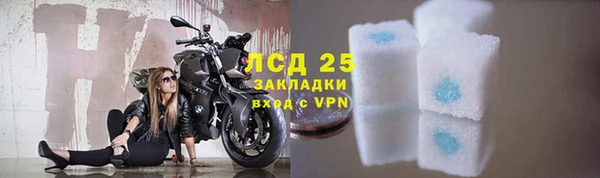 стаф Абинск