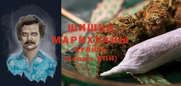 сатива Магас