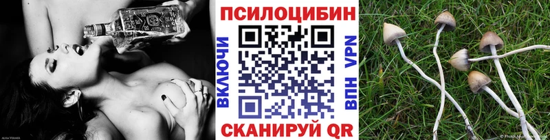 купить наркотик  Нерчинск  Галлюциногенные грибы мухоморы 
